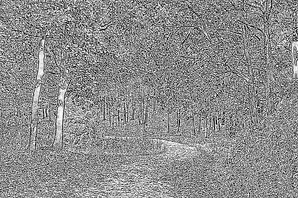 from CC0 photo AI Art