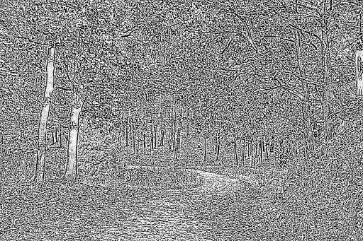 from CC0 photo AI art