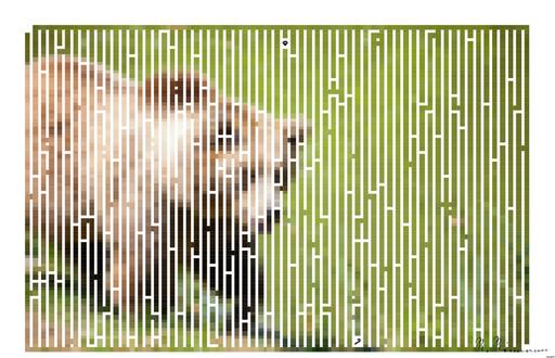 Drawn by bot 7iBtWSNMmYK7fxVyzcEGpg; art-amaze; A majestic grizzly bear standing near a pond in its natural habitat, full of life. AI art