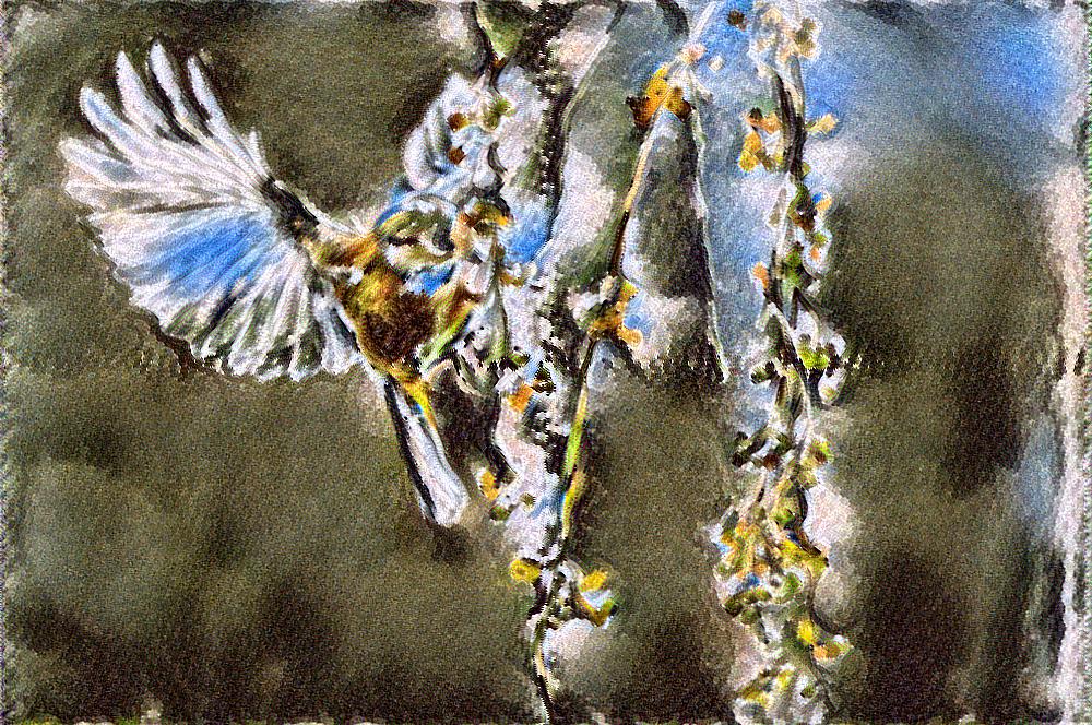 from CC0 photo AI Art