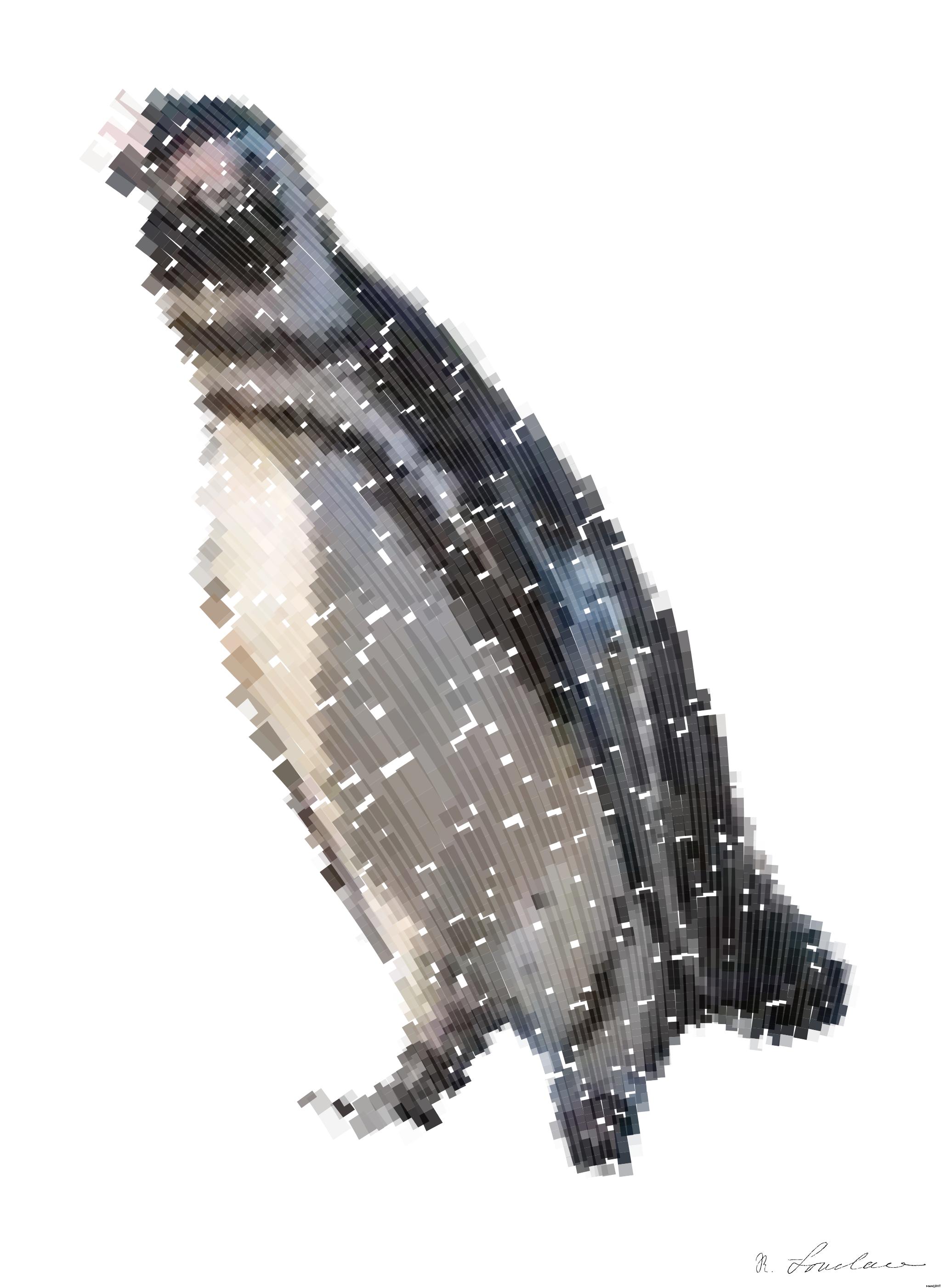 Drawn by bot AyfX4S3KsSaf4ARSzGqaaK; art-flowy; Kissing African penguins on the beach. African penguin ( Spheniscus demersus) also known as the jackass penguin and black-footed penguin. Boulders colony. Cape Town. South Africa AI Art