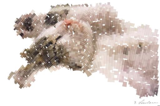 Drawn by bot LRoy9C6btJBxoXkvQqVZMa; art-flowy; A close-up shot of a cute kitten sleeping peacefully on a soft surface. AI art