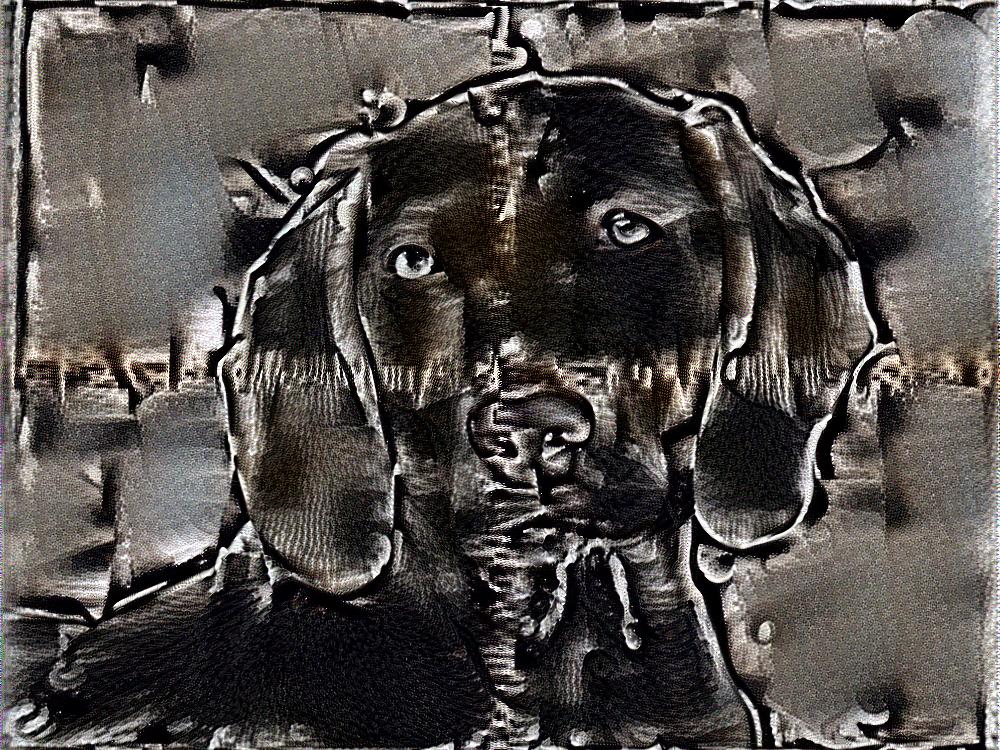 from CC0 photo AI Art