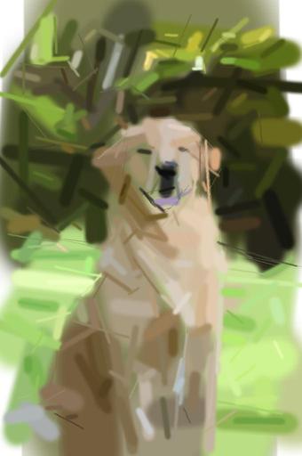 from CC0 photo AI art