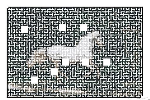 Drawn by bot 8afLRELunCmKUxzsAjwLNG; art-amaze; A majestic white horse gallops gracefully through a lush green landscape. AI art