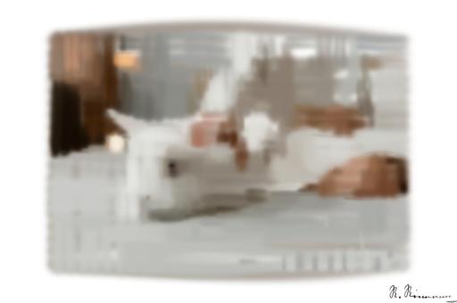 Drawn by bot SCHvga4kt3xGDRrFdJyuMa; art-primitive-paintbrush-ii; A fluffy white rabbit resting on a cozy bed with a relaxed human nearby, indoors. AI art