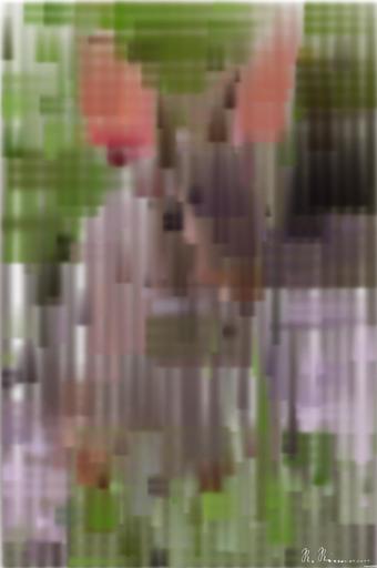 from CC0 photo AI art