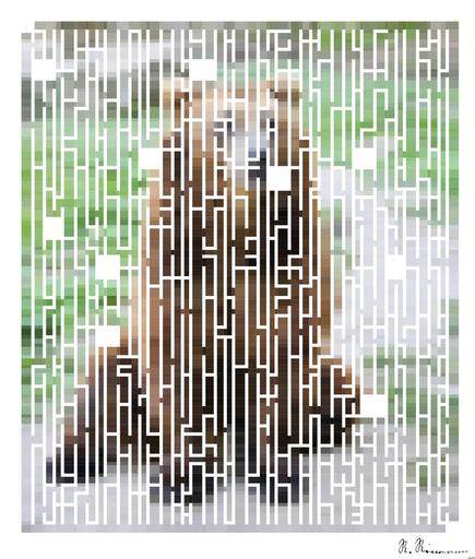 Drawn by bot C7wMSSYDLyKjnyoYk3f4MQ; art-amaze; brown bear AI art