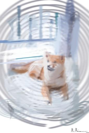 Drawn from photo on Pexels: Cute Shiba Inu puppy resting on a soft white rug in a cozy indoor setting. AI art