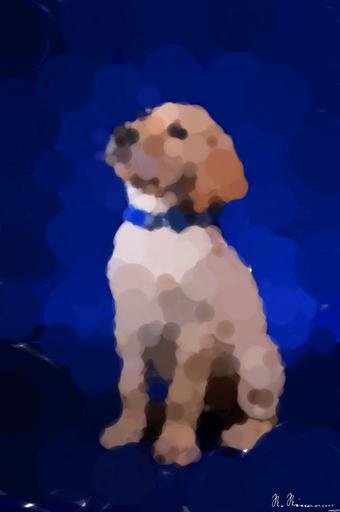 from CC0 photo AI art