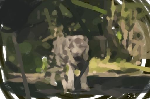 from CC0 photo AI art