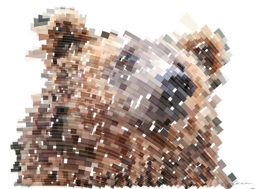 Drawn by bot GVpzYVcwoTip2zHkT2uNZ8; art-flowy; Detailed close-up of a brown bear's face, showcasing its expressive eyes and fur texture. AI art