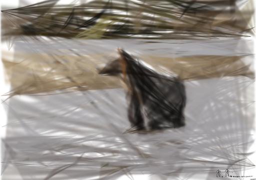 from CC0 photo AI art