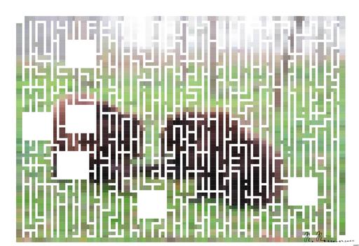 Drawn by bot EewGqzAZDKNXZ2Zhx3sBgq; art-amaze; None AI art
