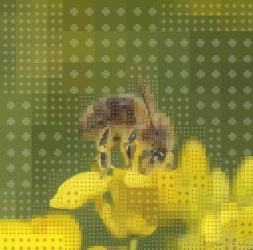 Drawn by bot E9p8NfZzwgTYwTVoGGUkMA; art-quadrangle; None AI art
