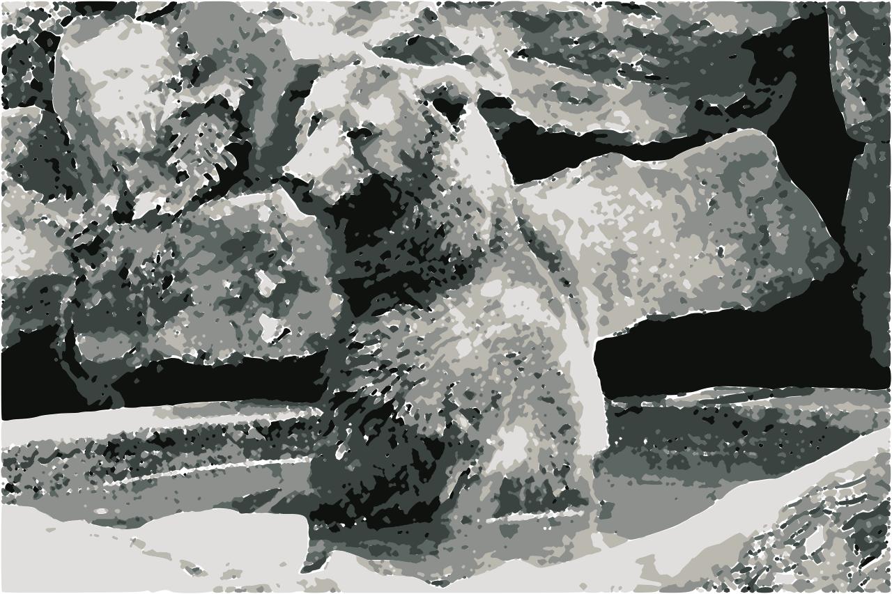 from CC0 photo AI Art