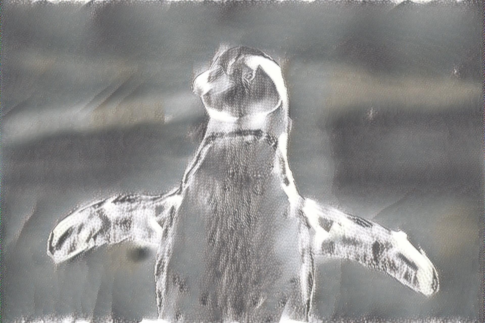 from CC0 photo AI Art