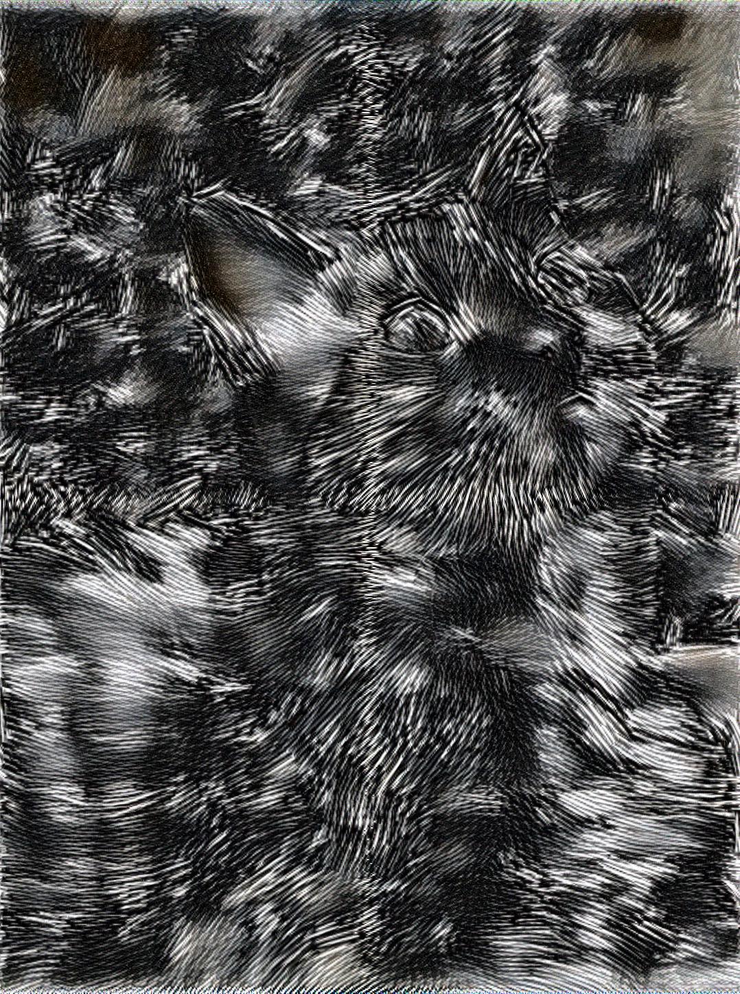 from CC0 photo AI Art