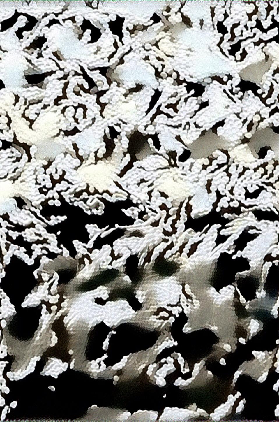 from CC0 photo AI Art