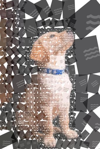 from CC0 photo AI art