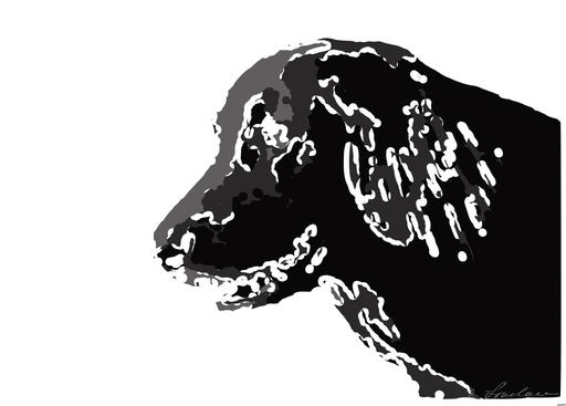 from CC0 photo AI art