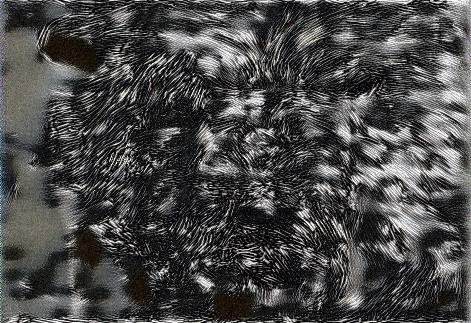 from CC0 photo AI Art