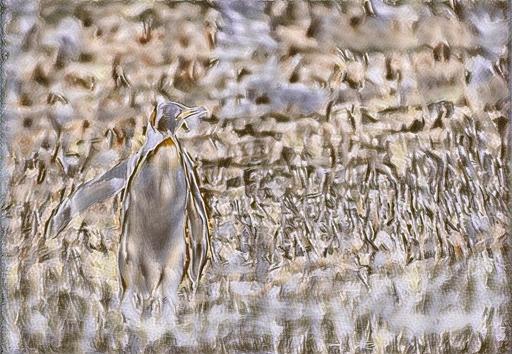 from CC0 photo AI art