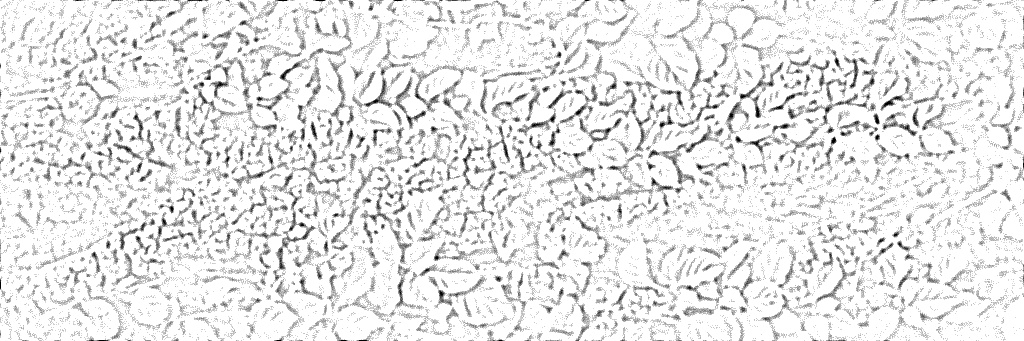 from CC0 photo AI Art