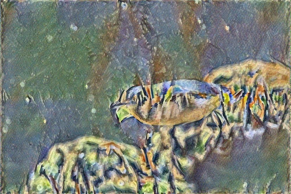 from CC0 photo AI Art