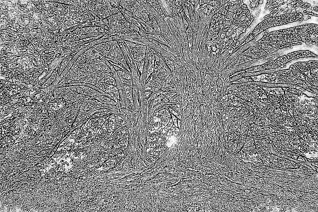 from CC0 photo AI Art