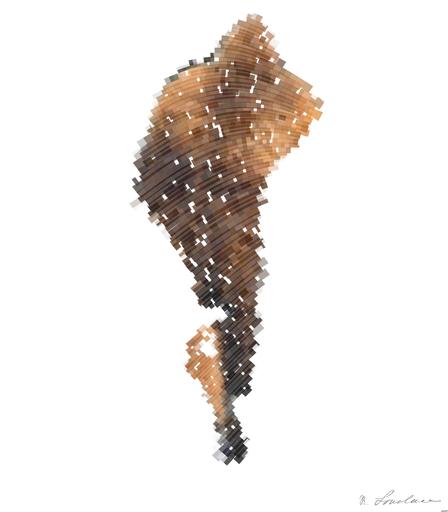 Drawn by bot 4z7wKL3aRX6gKhzeKe4R8J; art-flowy; South Georgia. King penguins cannot fly but are strong swimmers. They are found in Antarctica, the tip of South America and on a few islands in the Southern Hemisphere. AI art