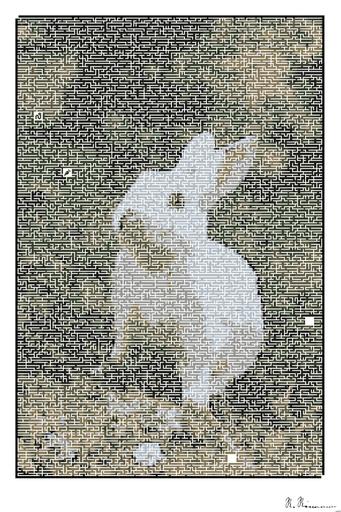 Drawn by bot kmwoymTwnAWZxTt9cBHcaa; art-amaze; Charming white rabbit sitting on grass with plants in a serene outdoor environment. AI art