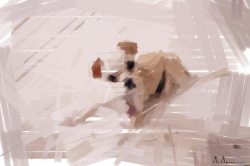 from CC0 photo AI art