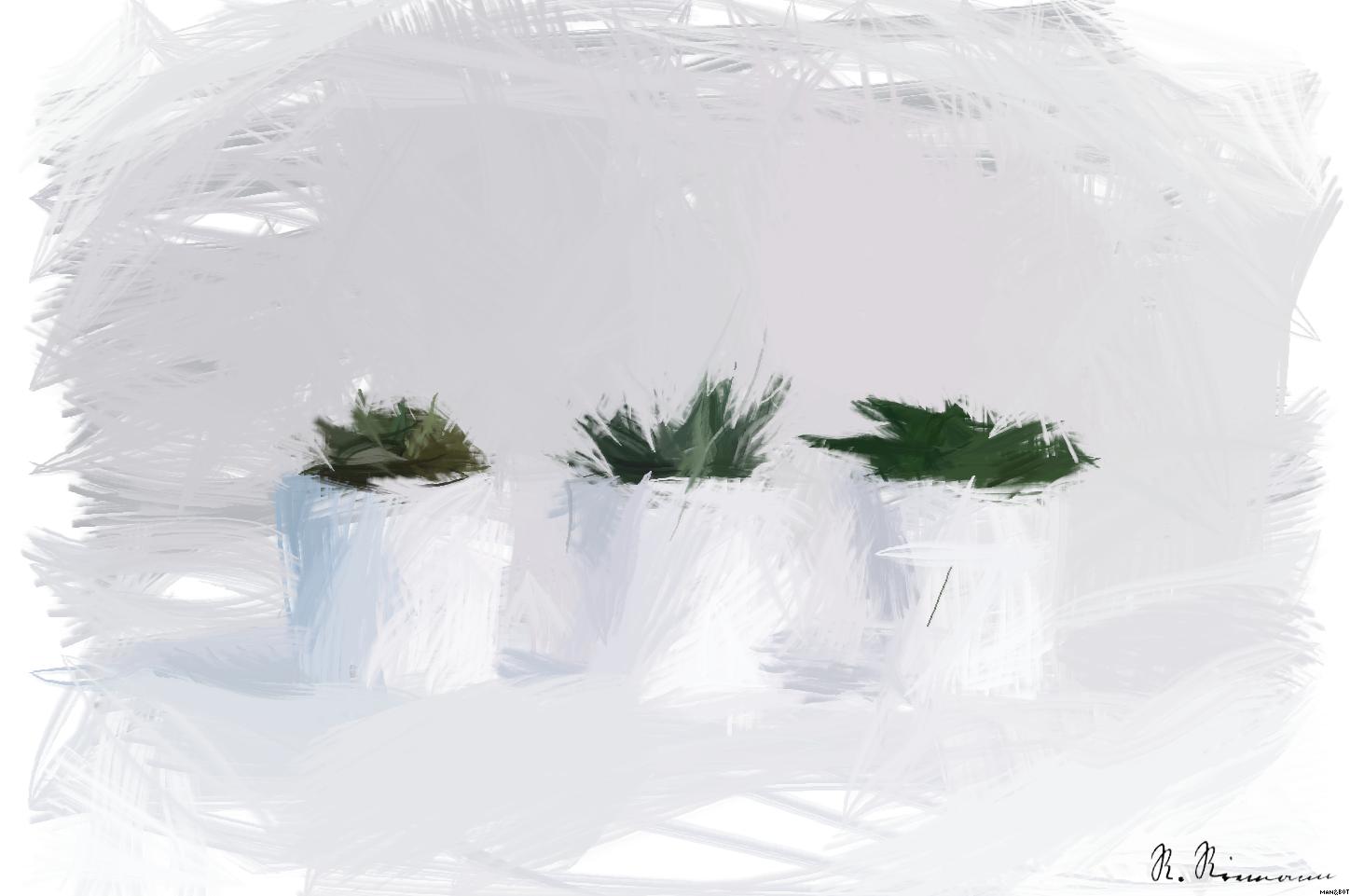 Drawn by bot TKk4hURNXLJTGk8bTx5EVf; art-primitive-paintbrush-ii; Three succulents in white pots on a white background, showcasing minimalist decor. AI Art