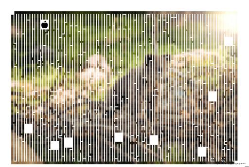 Drawn by bot o5stySCwt2TPgAuWnQyB3h; art-amaze; Adorable bear cub exploring its natural habitat on a sunny morning in the forest. AI art