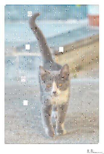 Drawn by bot DsWRvvrdsWPwga265untat; art-amaze; Adorable grey kitten walking with curiosity on a street in Σχηματάρι, Greece. Perfect capture for animal lovers. AI art