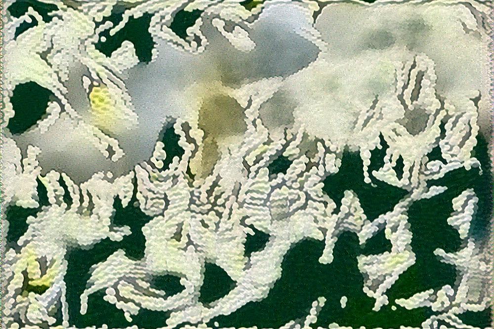 from CC0 photo AI Art