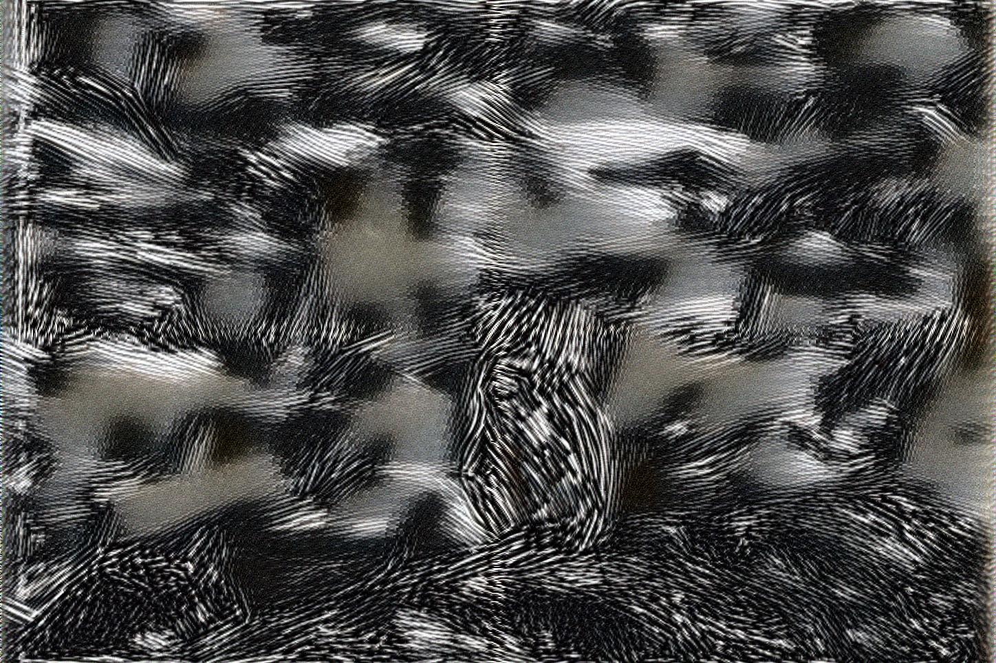 from CC0 photo AI Art