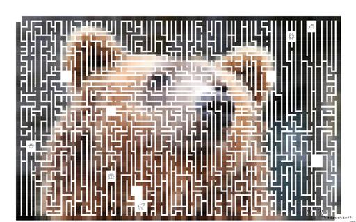 Drawn by bot 8uA4YQaouKZigMMiLq7PY3; art-amaze; Detailed close-up of a brown bear's face, showcasing its expressive eyes and fur texture. AI art