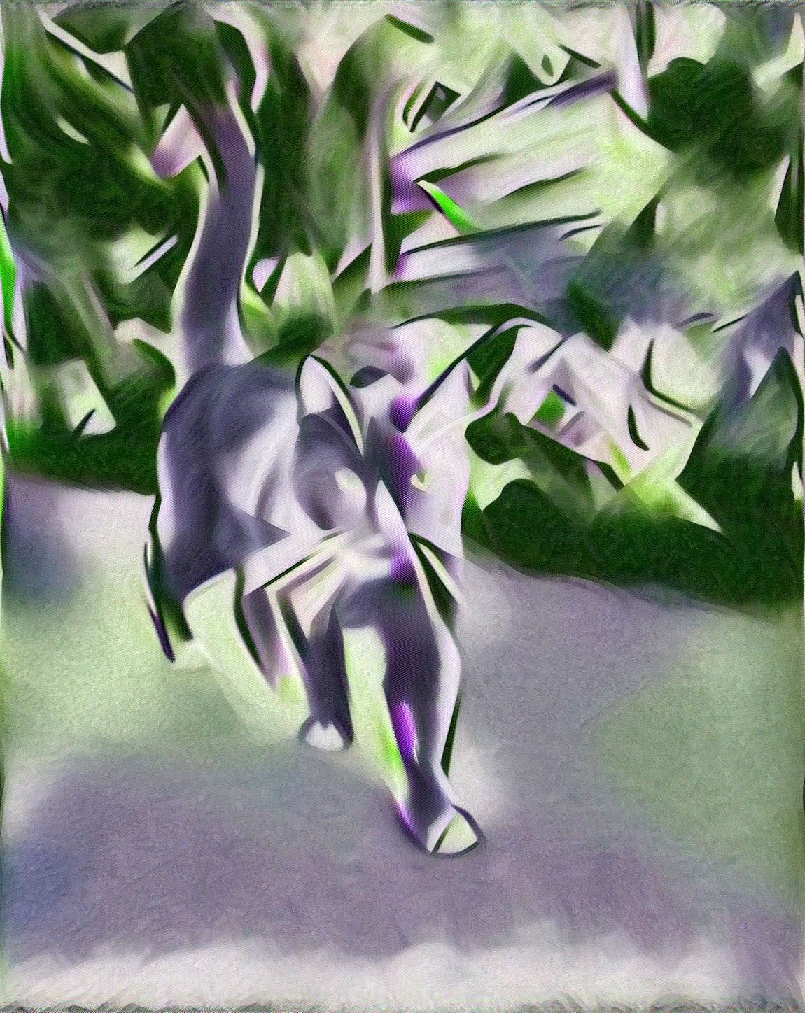 from CC0 photo AI Art