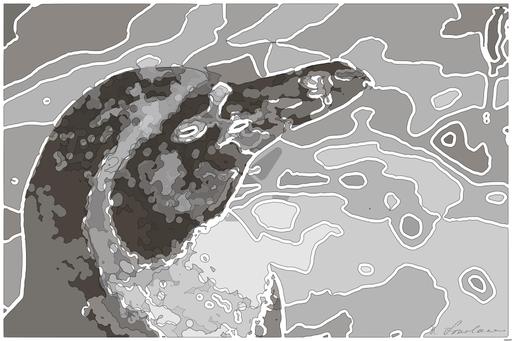 Drawn from photo on Pixabay: None AI art