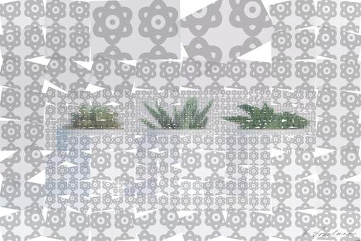 Drawn by bot WdAsm4V3cGcpTHiduFs2rp; art-quadrangle; Three succulents in white pots on a white background, showcasing minimalist decor. AI art