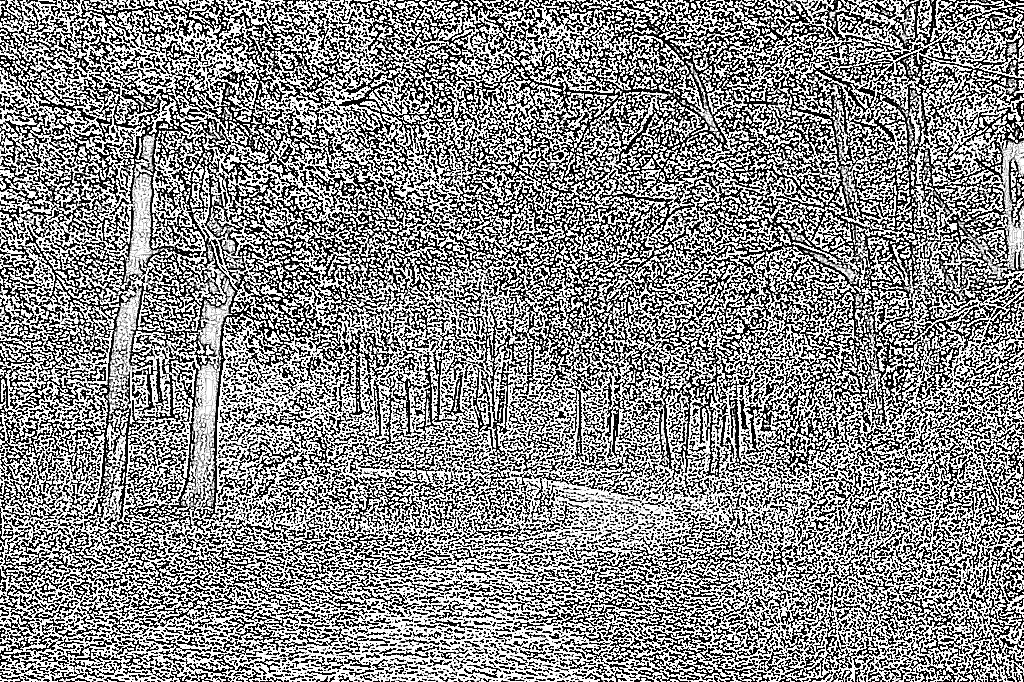 from CC0 photo AI Art