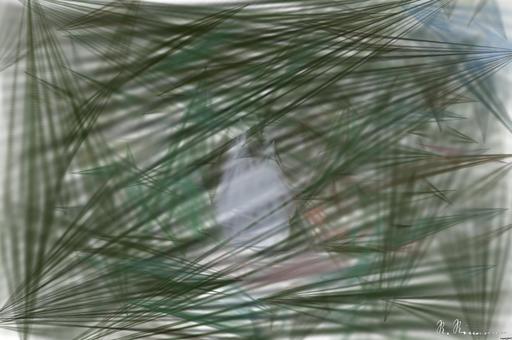 from CC0 photo AI art