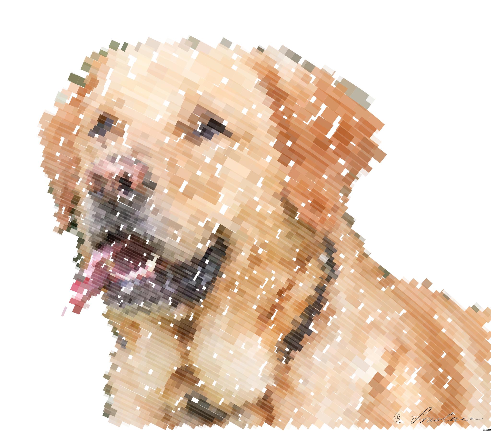 from CC0 photo AI Art