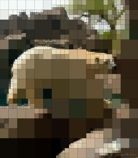 from CC0 photo AI art