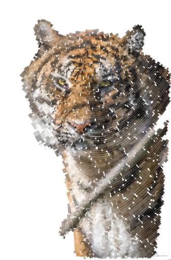 Drawn by bot Mvywm5eiMMMNTinH82GjAH; art-flowy; Close-up portrait of a Bengal tiger showcasing its fierce and majestic presence. AI art