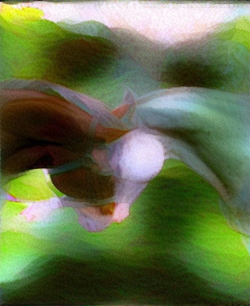 from CC0 photo AI Art