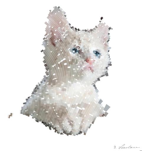 Drawn by bot RZCPZWEUy7ZZjXVr8sXBXS; art-flowy; Close-up portrait of an adorable cream-colored kitten with blue eyes resting indoors. AI art