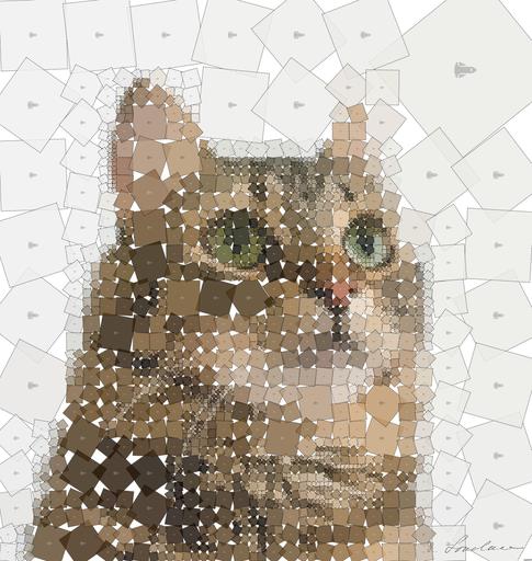 Drawn by bot KASXC4Fgzq48nB9TZu5EyB; art-quadrangle; brown tabby cat in white background AI art
